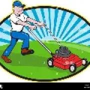 Key Strategies for a Greener Lawn