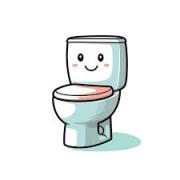 Bathroom Repair